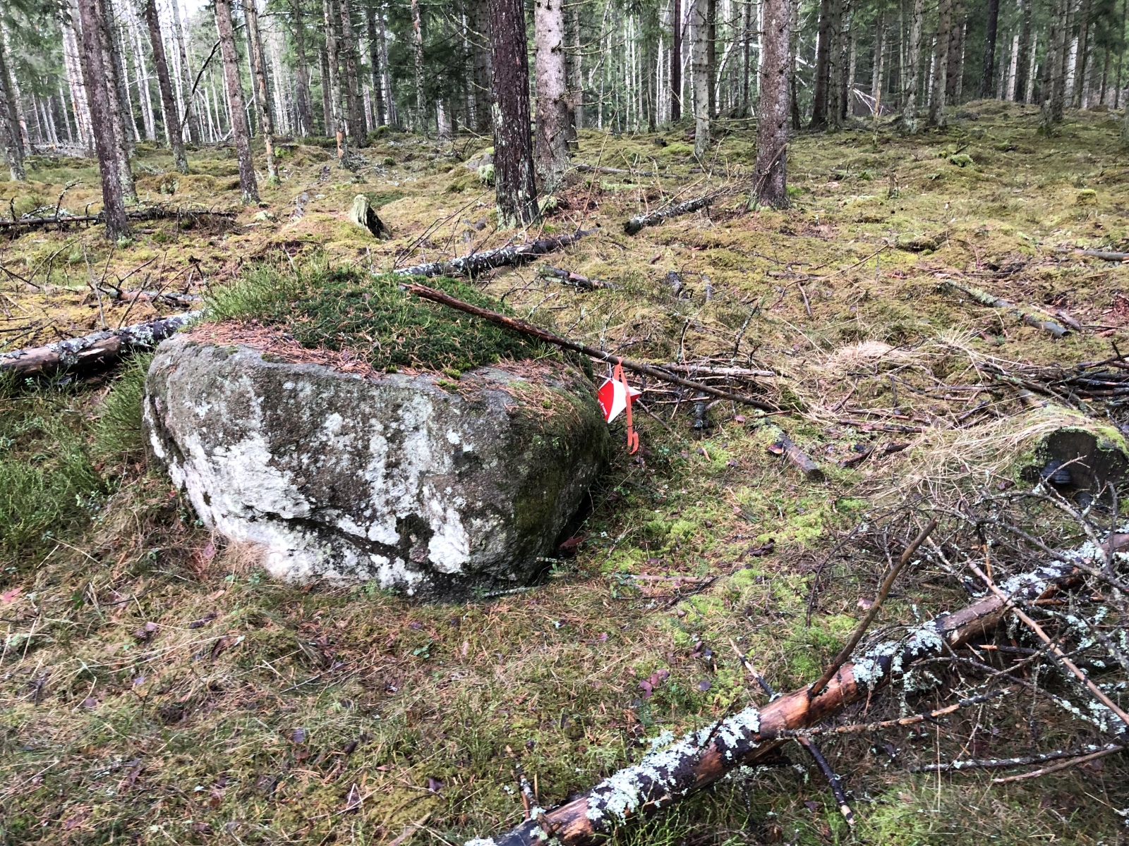 image: Naturpasset startar 1 april